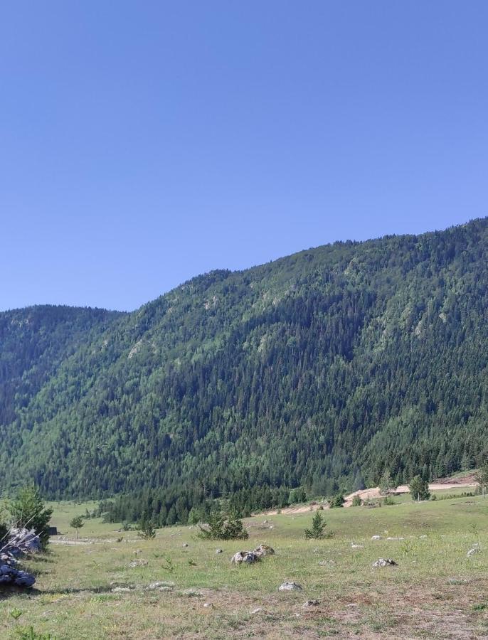 Planinski mir Žabljak Exteriör bild