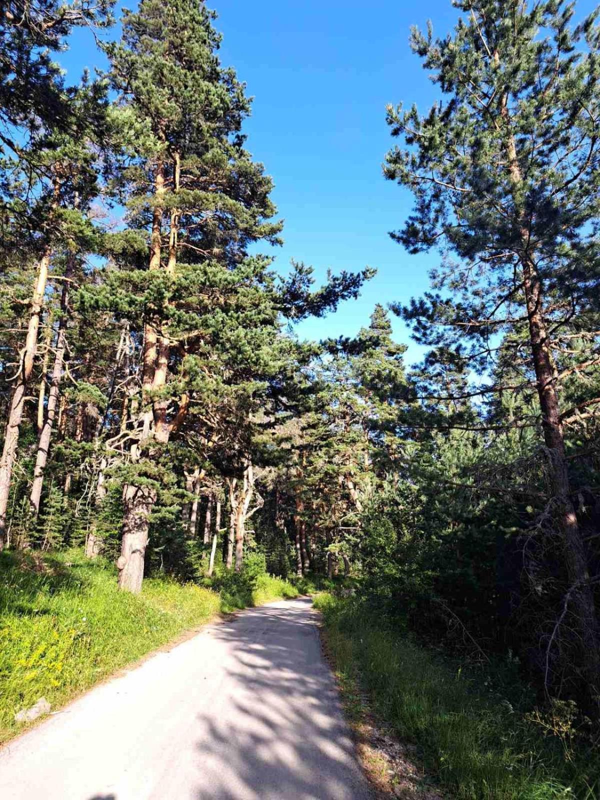 Planinski mir Žabljak Exteriör bild